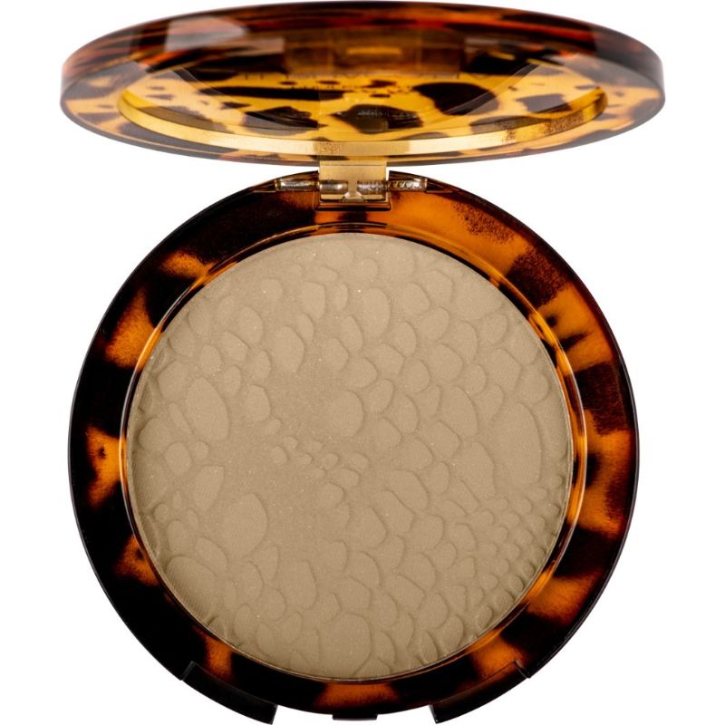 PIERRERENE POWDER TERRACOTTA_01 WARM BRONZE