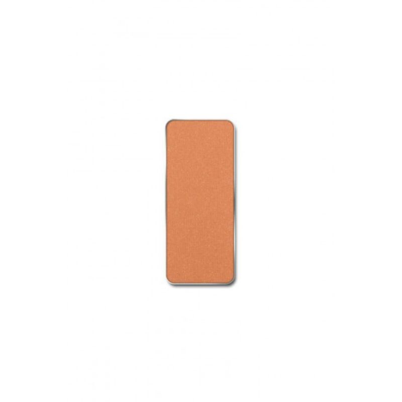 PIERRERENE ROUGE PALETTE MATCH SYSTEM CAKE_05 SHINY BROWN