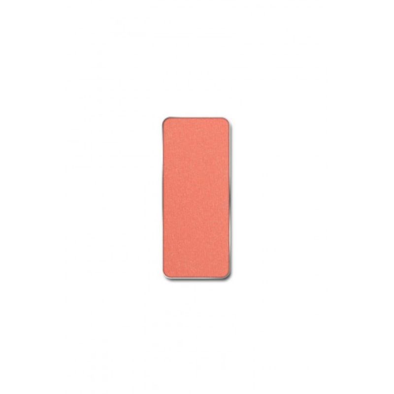 PIERRERENE ROUGE PALETTE MATCH SYSTEM CAKE_07 RUSTY CHEEK