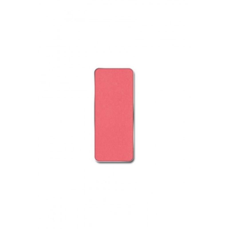 PIERRERENE ROUGE PALETTE MATCH SYSTEM CAKE_13 DAY LILLY