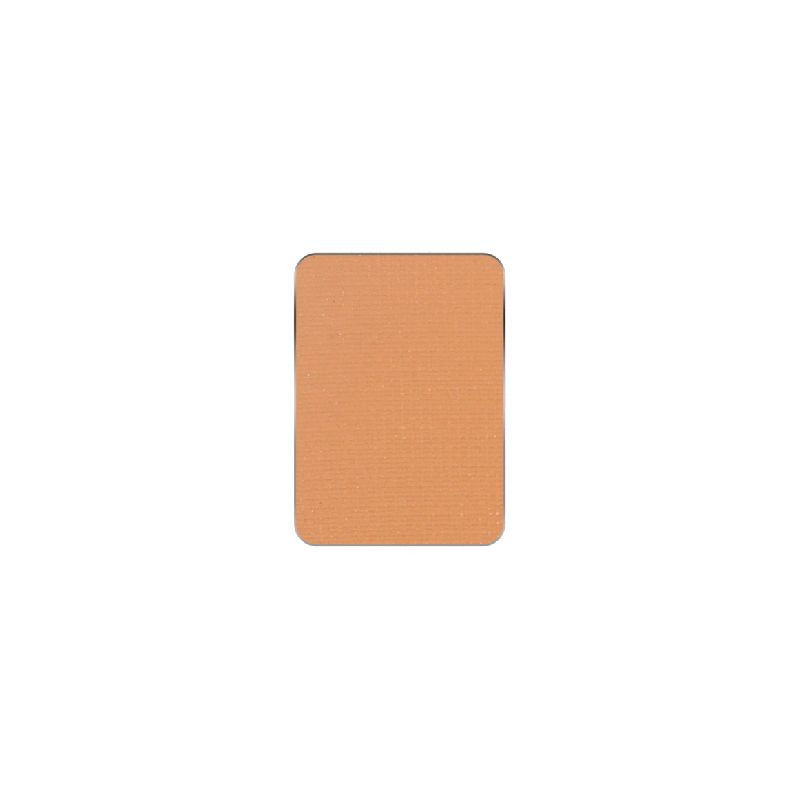PIERRERENE PALETTE MATCH SYSTEM EYESHADOW_120