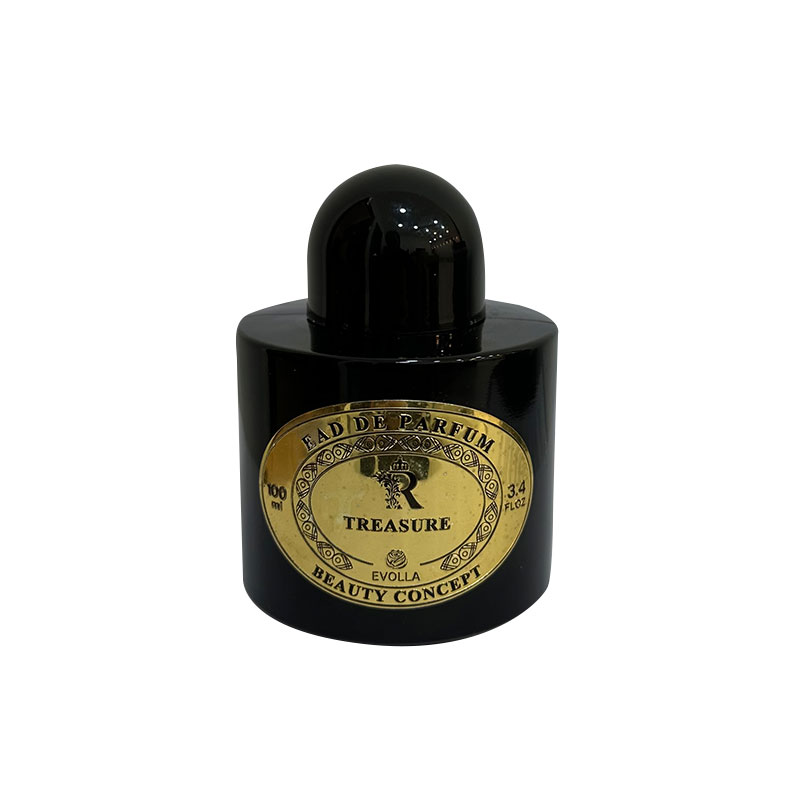 EVOLLA EAV DE PERFUME TREASURE 100 ML